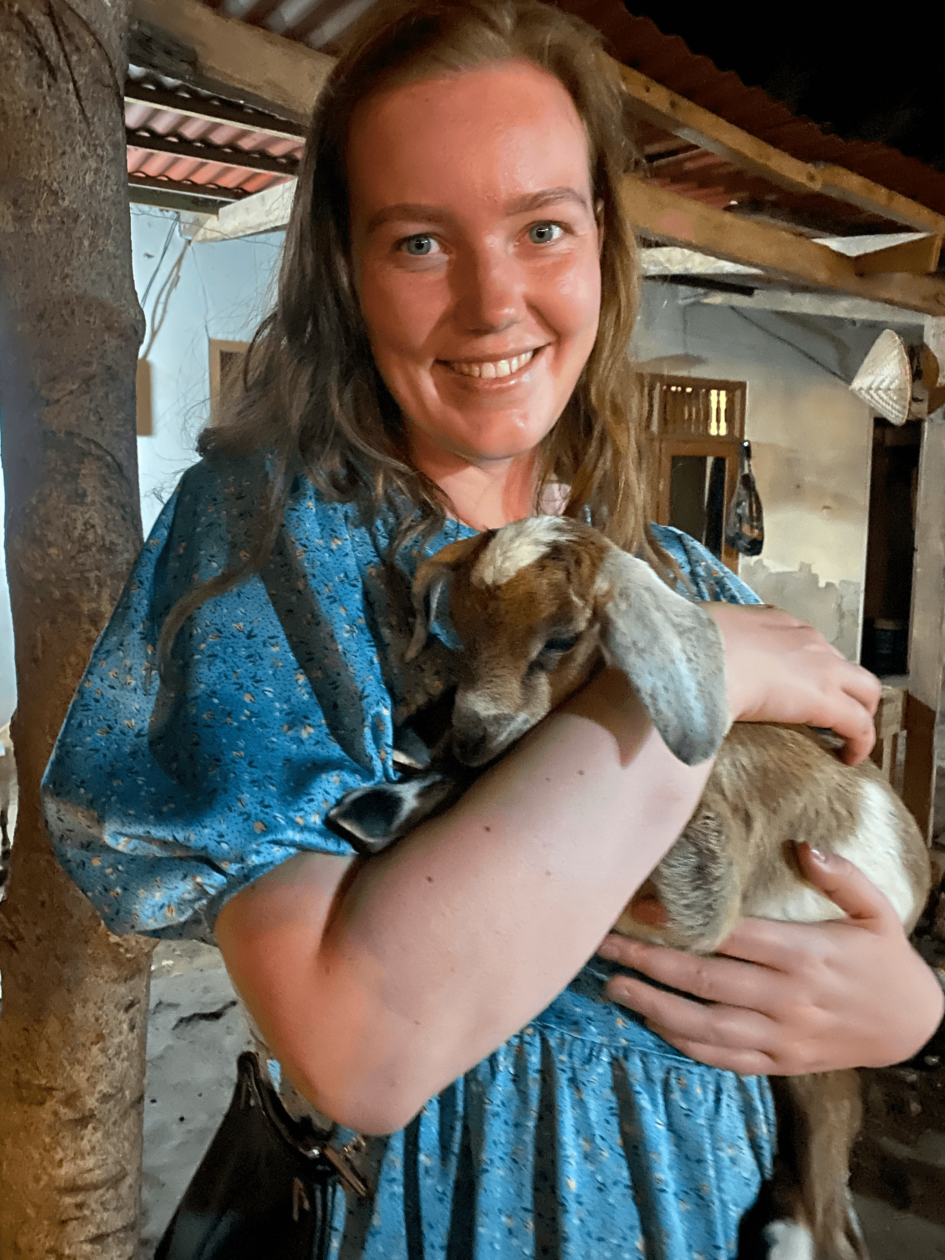 Miss steal your goat